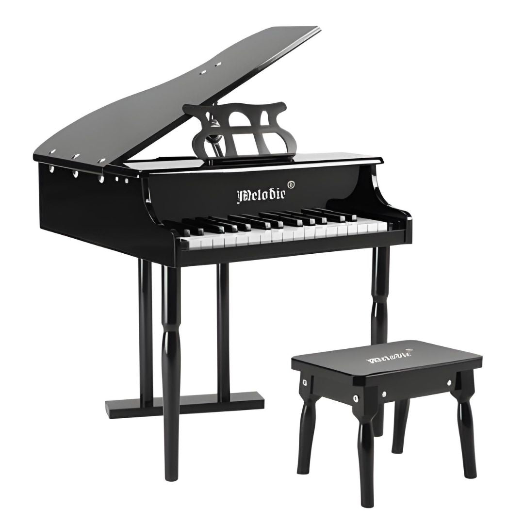 Melodic 30 Key Piano