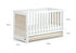 Boori Elite Multipurpose Cot Bed with Matress & Drawer - Against The Grain Childrens Furniture & Essentials